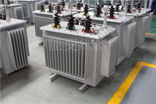 阿坝S22-100KVA/10KV/0.4KV变压器